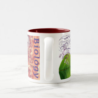Biologimugg Två-Tonad Mugg
