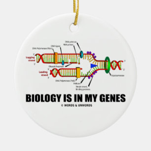 Biologin finns i mina gener (DNA-replikering) Julgransprydnad Keramik