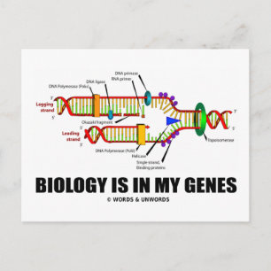 Biologin finns i mina gener (DNA-replikering) Vykort