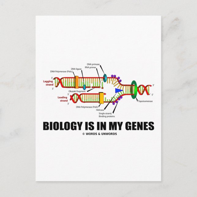 Biologin finns i mina gener (DNA-replikering) Vykort (Framsida)