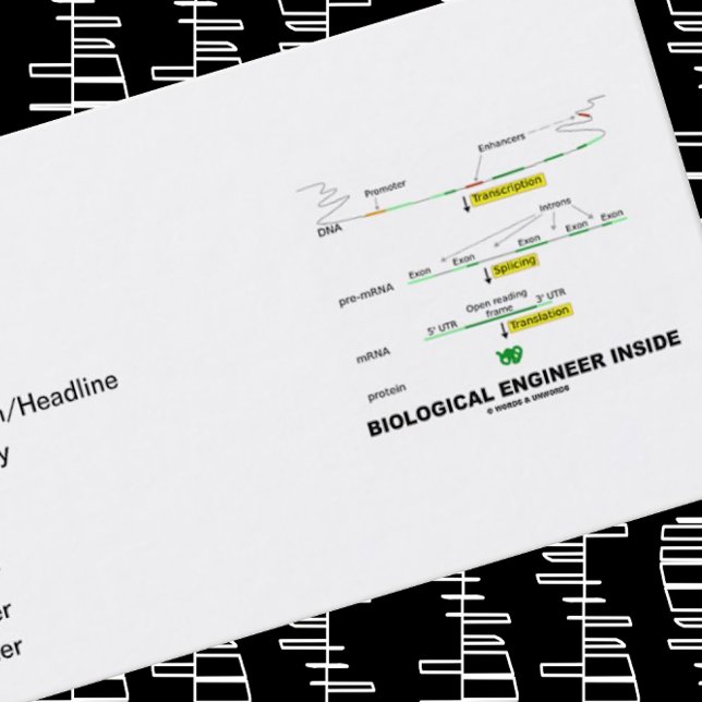 Biologisk Ingenjör insida (transkription) Visitkort (Business card for any biological engineer - a.k.a. biotechnologist)