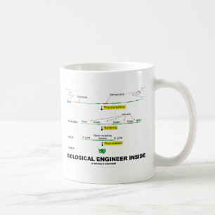 Biologisk ingenjörinsida kaffemugg