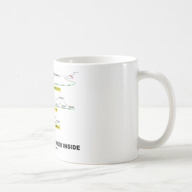 Biologisk ingenjörinsida kaffemugg (Höger)