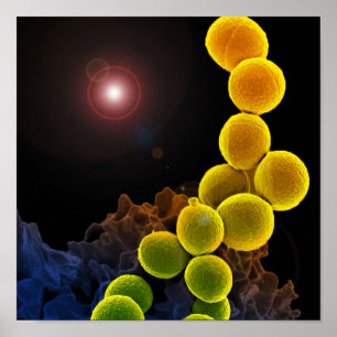 Biologisk mikrobiologi, abstrakt för poster eller