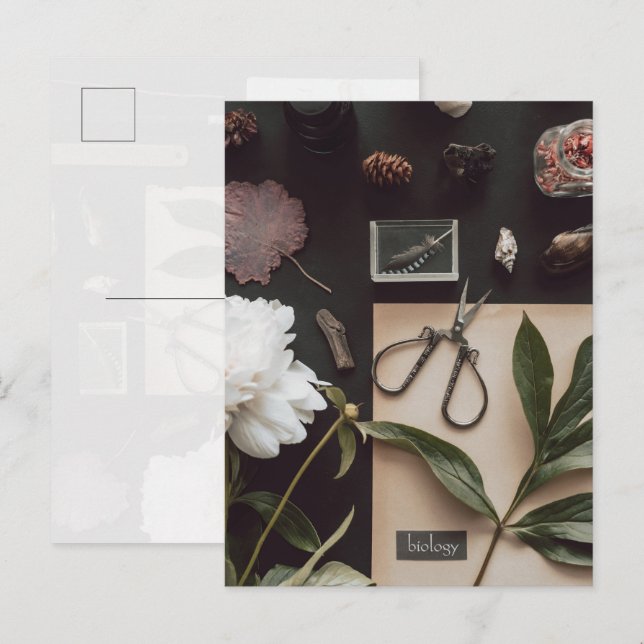 Biologisk vetenskap Flat Lay Academia Vykort (Fram/baksida)
