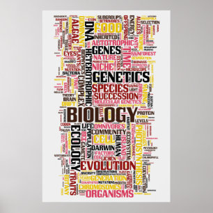 BiologiWordle nr. 11 Poster
