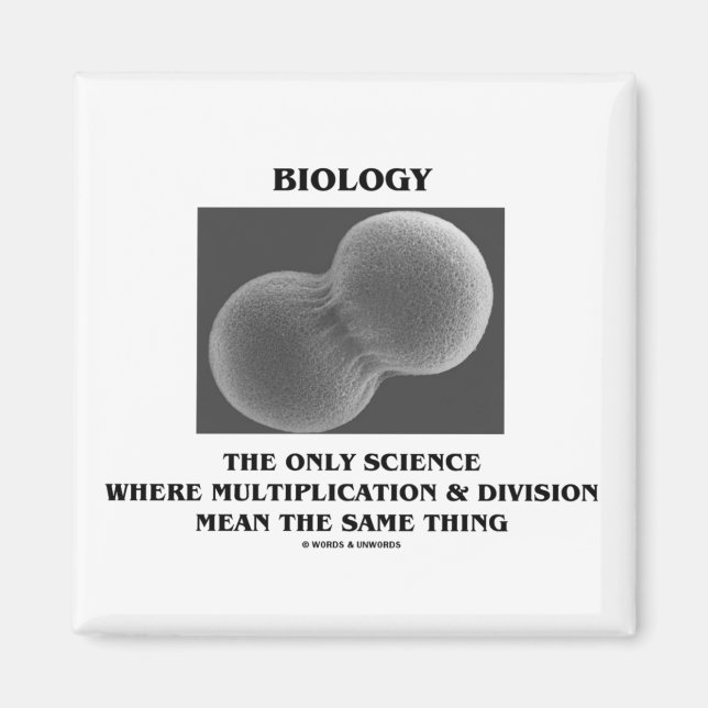 Biology Science Division Multiplikation Samma Sak Magnet (Framsidan)