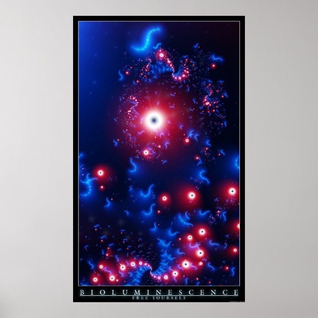 Bioluminescens Poster (Framsidan)