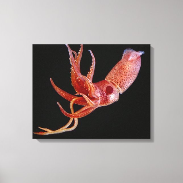 Bioluminescent Cock-öga Squid (Histioteuthis hete) Canvastryck (Framsida)
