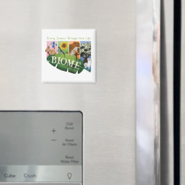 Biome Årstidsmagnet Magnet