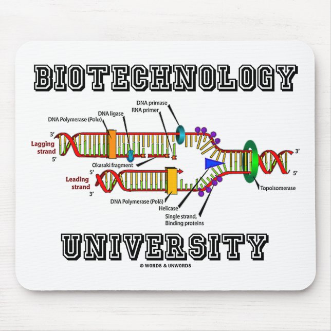 Biotechnology Universiteten (DNA Replication) Musmatta (Framsidan)