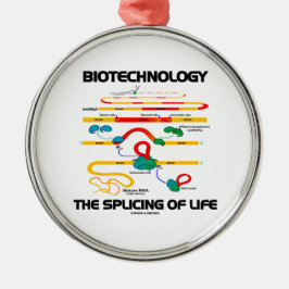 Bioteknik splitsa av liv (mogna RNA), Julgransprydnad Keramik