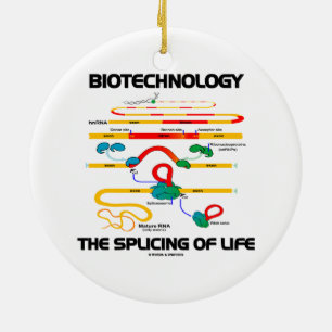 Bioteknik splitsa av liv (mogna RNA), Julgransprydnad Keramik