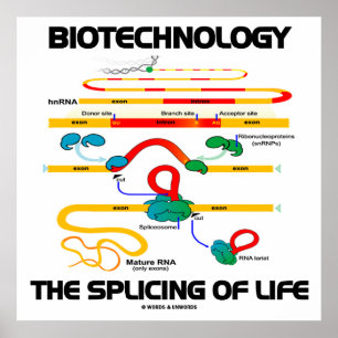 Bioteknik splitsa av liv (mogna RNA), Poster