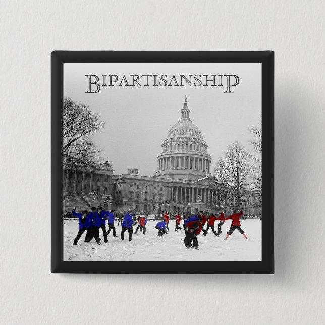 Bipartisan Snowball Fight Knapp (Framsida)