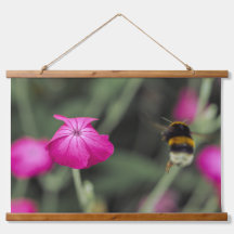 Bipollinerande rosa vildblomma naturfoto