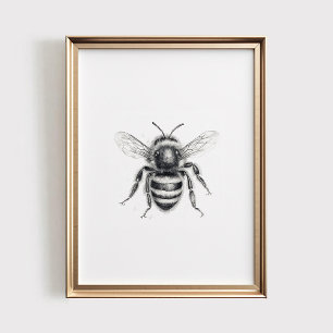 Biprodukt, UTSKRIFTBAR Väggkonst, Humlebiskiss Poster
