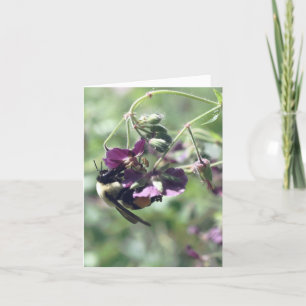 Biproduktion Blomma Fotografi Anteckningskort