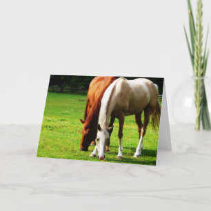 Birational Horse Couple Kort