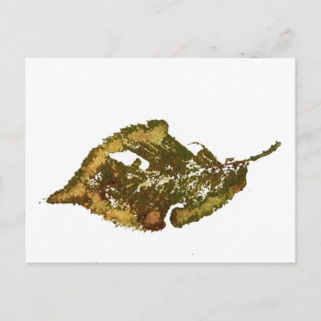 "Birch #2" vykort för Land-vägar (Framsida)