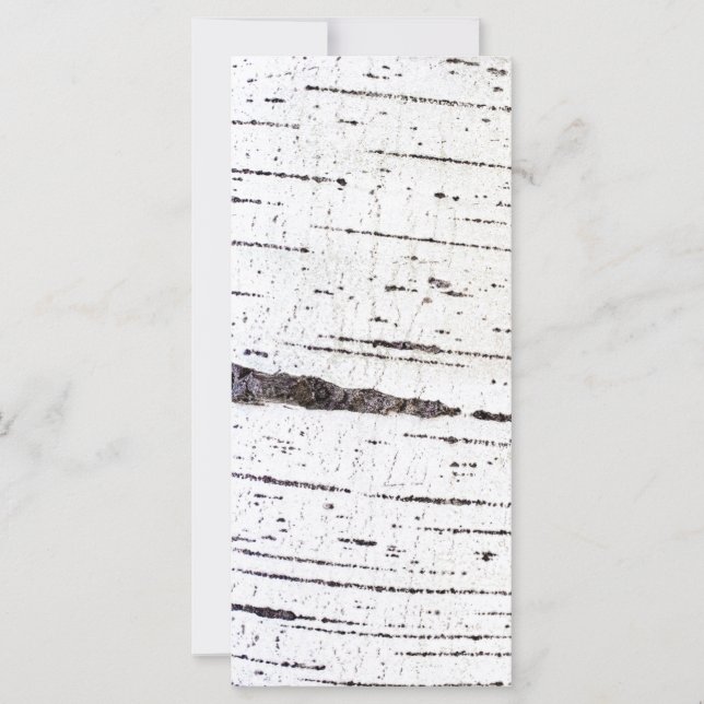 Birch bark mönster (Framsida)