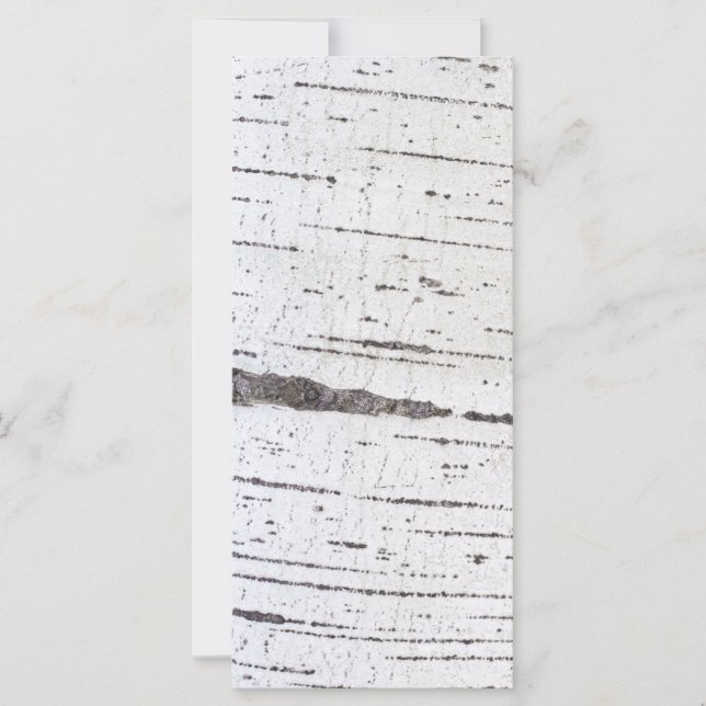 Birch bark mönster (Framsida)