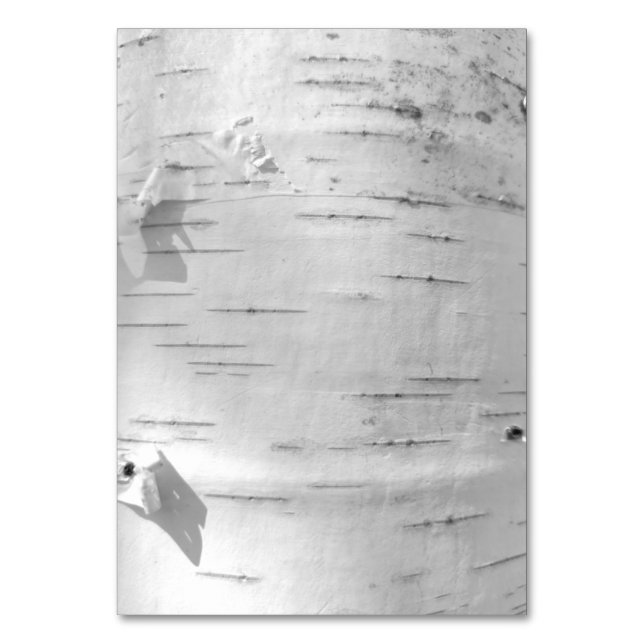 Birch bark mönster bordsnummer (Framsidan)