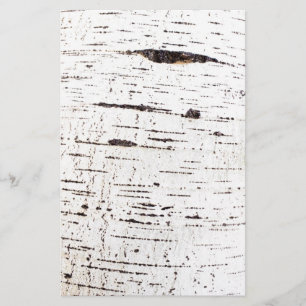 Birch bark mönster flygblad