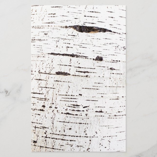 Birch bark mönster flygblad (Framsidan)