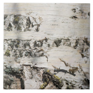 Birch bark mönster kakelplatta