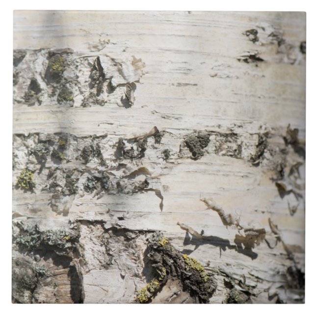 Birch bark mönster kakelplatta (Framsidan)
