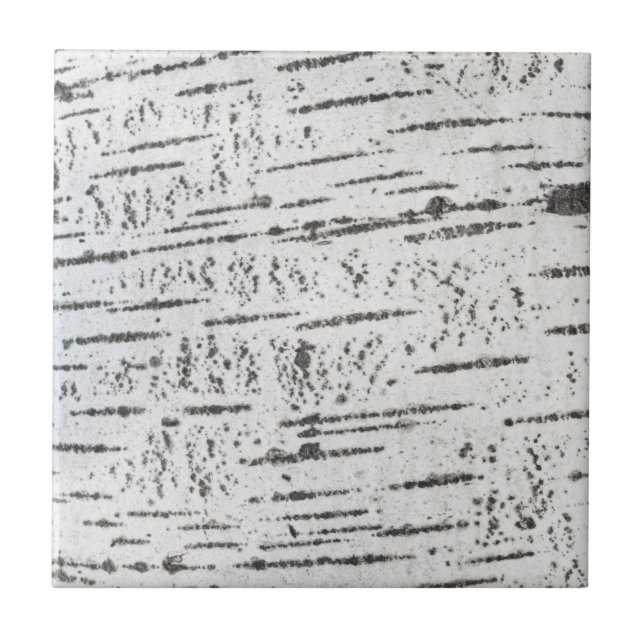 Birch bark mönster kakelplatta (Framsidan)