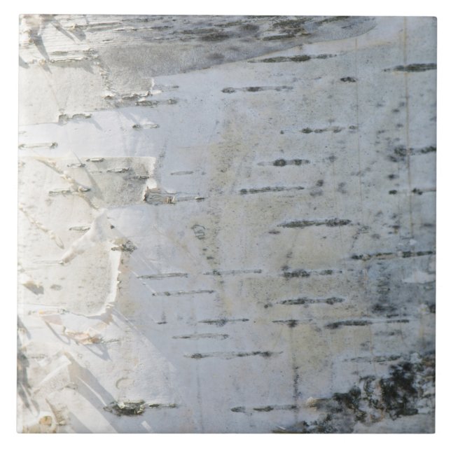 Birch bark mönster kakelplatta (Framsidan)