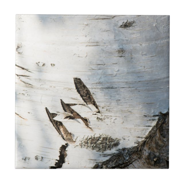 Birch bark mönster kakelplatta (Framsidan)