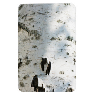 Birch bark mönster magnet