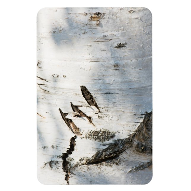 Birch bark mönster magnet (Vertikal)