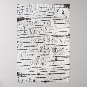 Birch bark mönster poster