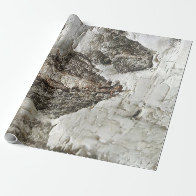 Birch bark mönster presentpapper (Utrullad)