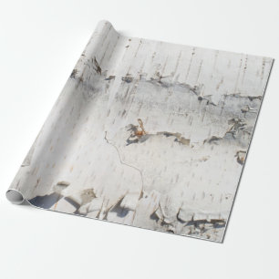 Birch bark mönster presentpapper