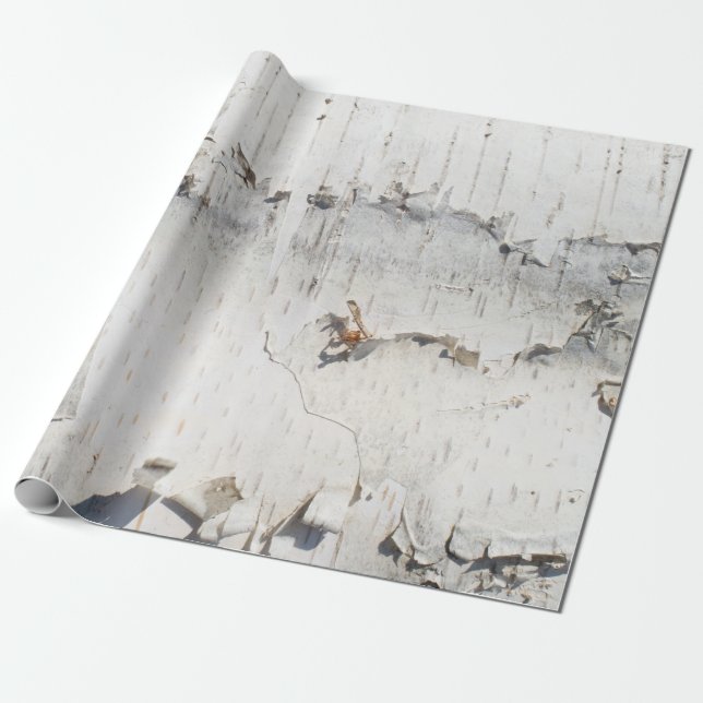Birch bark mönster presentpapper (Utrullad)