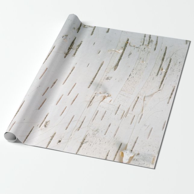 Birch bark mönster presentpapper (Utrullad)