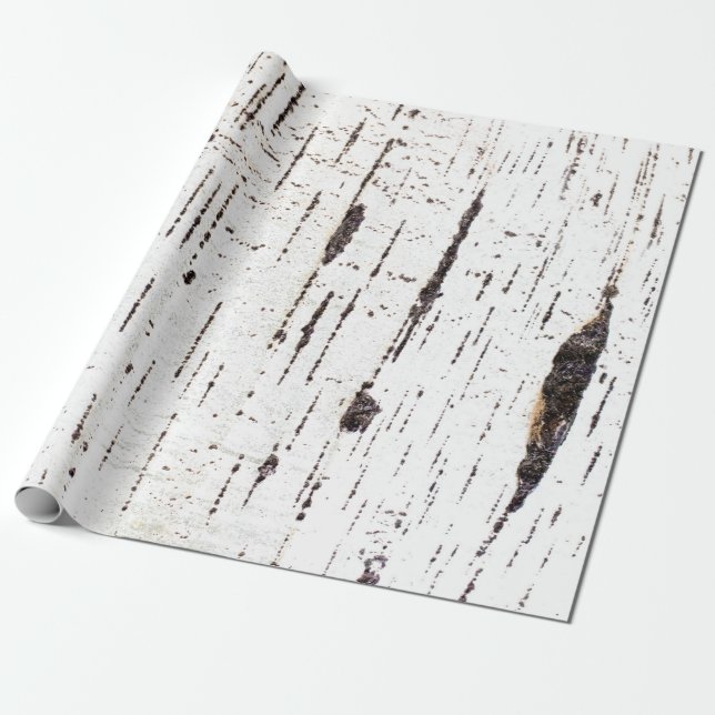 Birch bark mönster presentpapper (Utrullad)