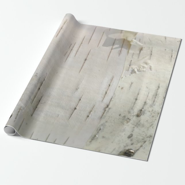Birch bark mönster presentpapper (Utrullad)