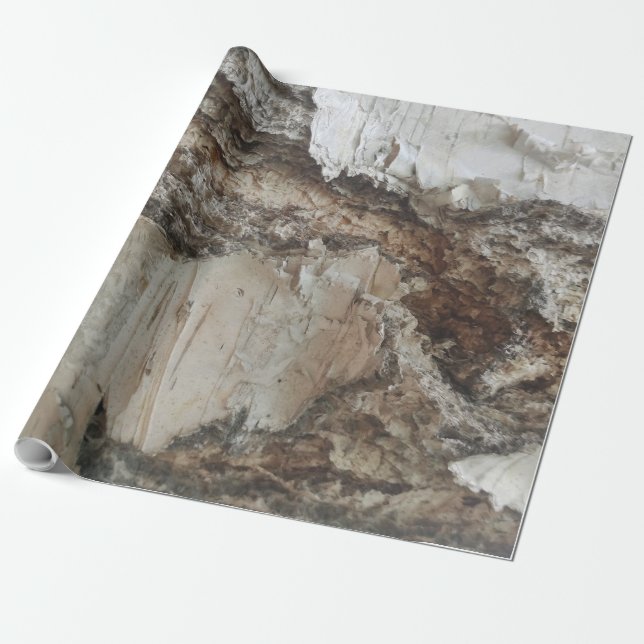 Birch bark mönster presentpapper (Utrullad)