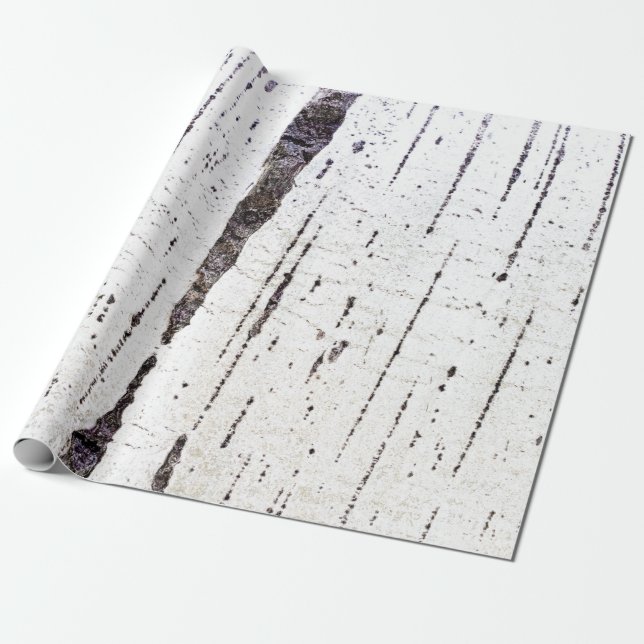 Birch bark mönster presentpapper (Utrullad)