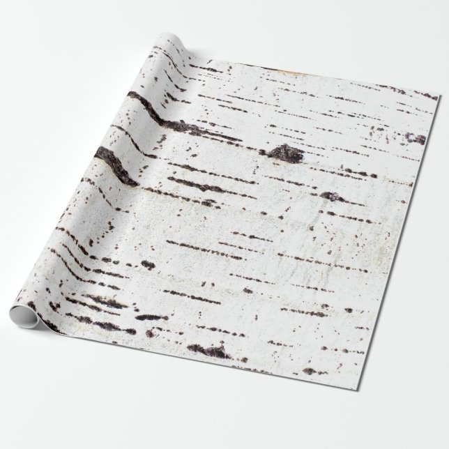 Birch bark mönster presentpapper (Utrullad)