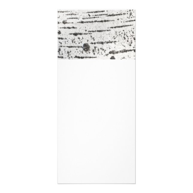 Birch bark mönster reklamkort (Framsidan)