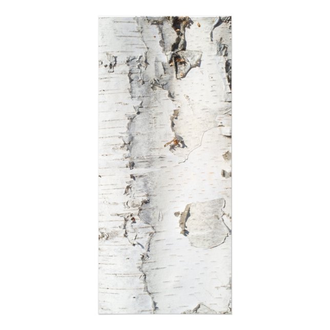 Birch bark mönster reklamkort (Framsidan)