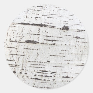 Birch bark mönster runt klistermärke