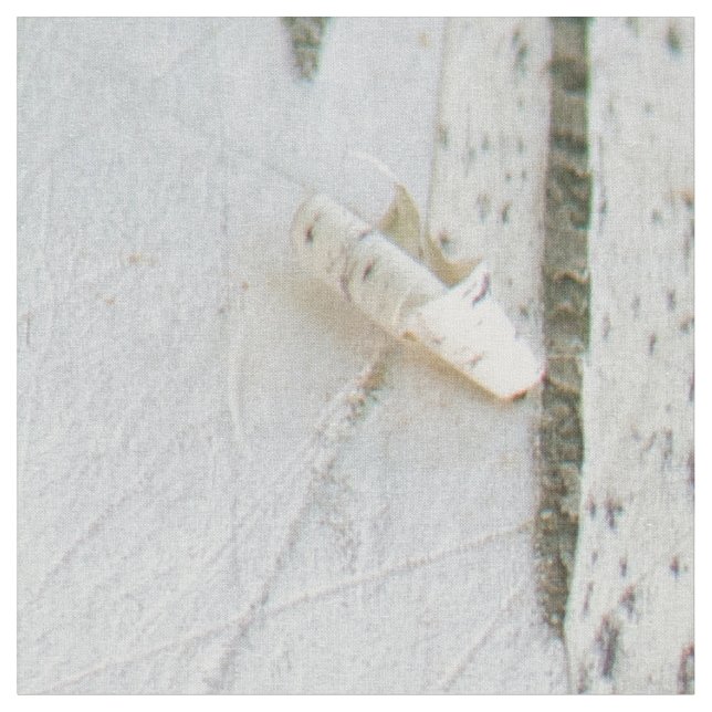 Birch bark mönster tyg (Närbild)